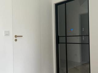 steel doors in crittal style 