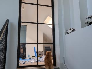 steel door producer portamet